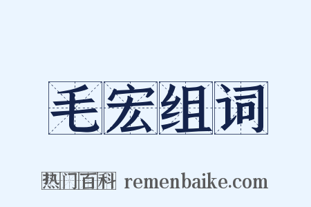 毛宏组词是什么意思的图片